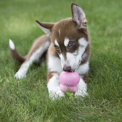 KONG Easy Treat Puppy nozzle-dispense demonstrates easy portion control for training rewards