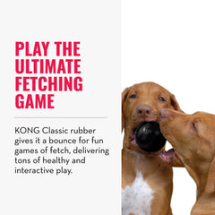 KONG Pelota Extrema con Hueco detalle de textura para masticadores fuertes