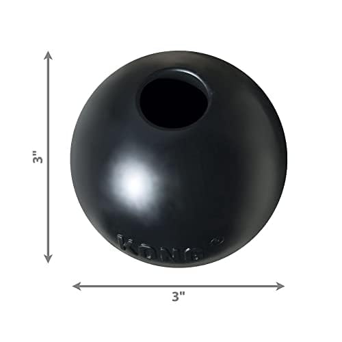 KONG Extreme Ball training fetch session with dog