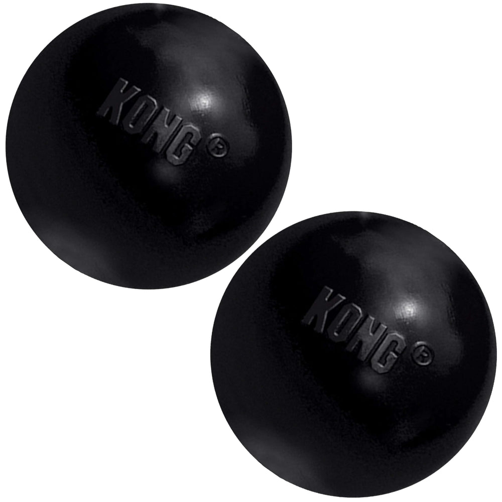 KONG Extreme Ball with Hole during backyard fetch for durable play
