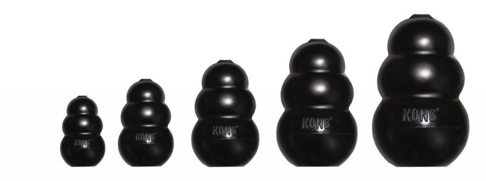 KONG Extreme large black toy suitable for all life stages