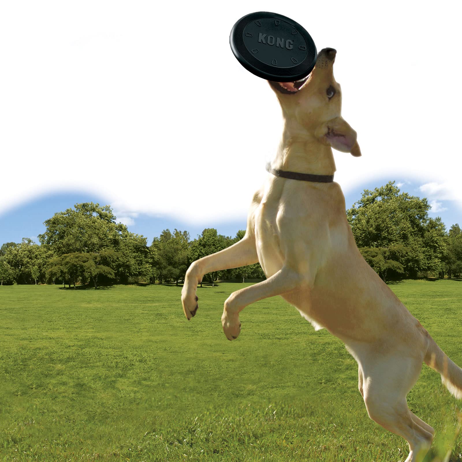 KONG Extreme Flyer promotes healthy exercise through interactive fetch routines.