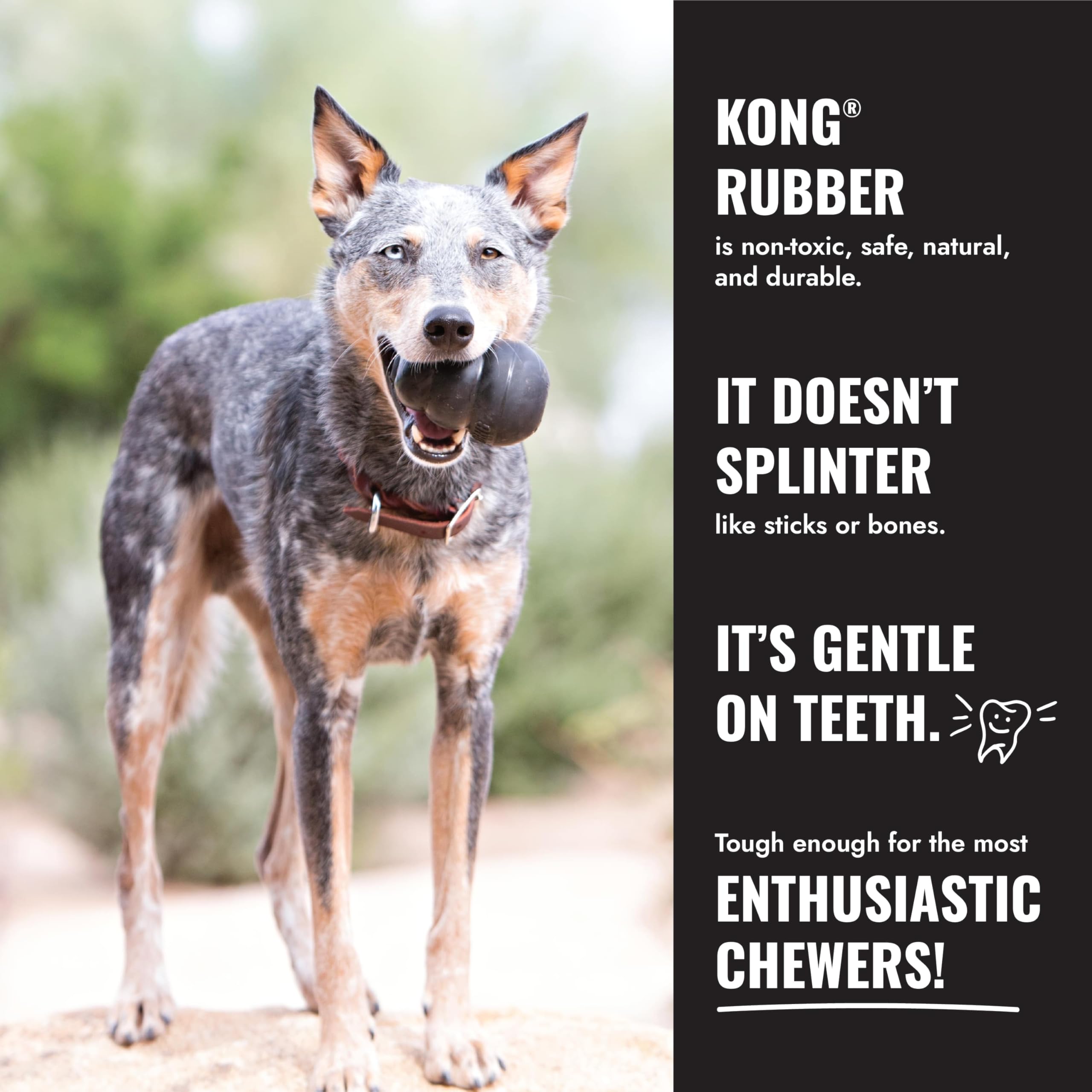 KONG Extreme Goodie Bone showing patented Goodie Gripper for stuffing.