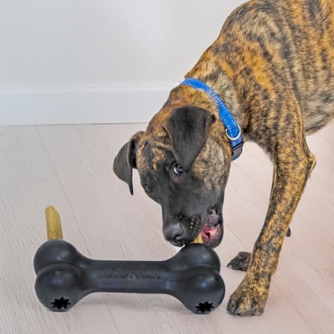 KONG Extreme Goodie Bone stuffed with treats for puzzle play.