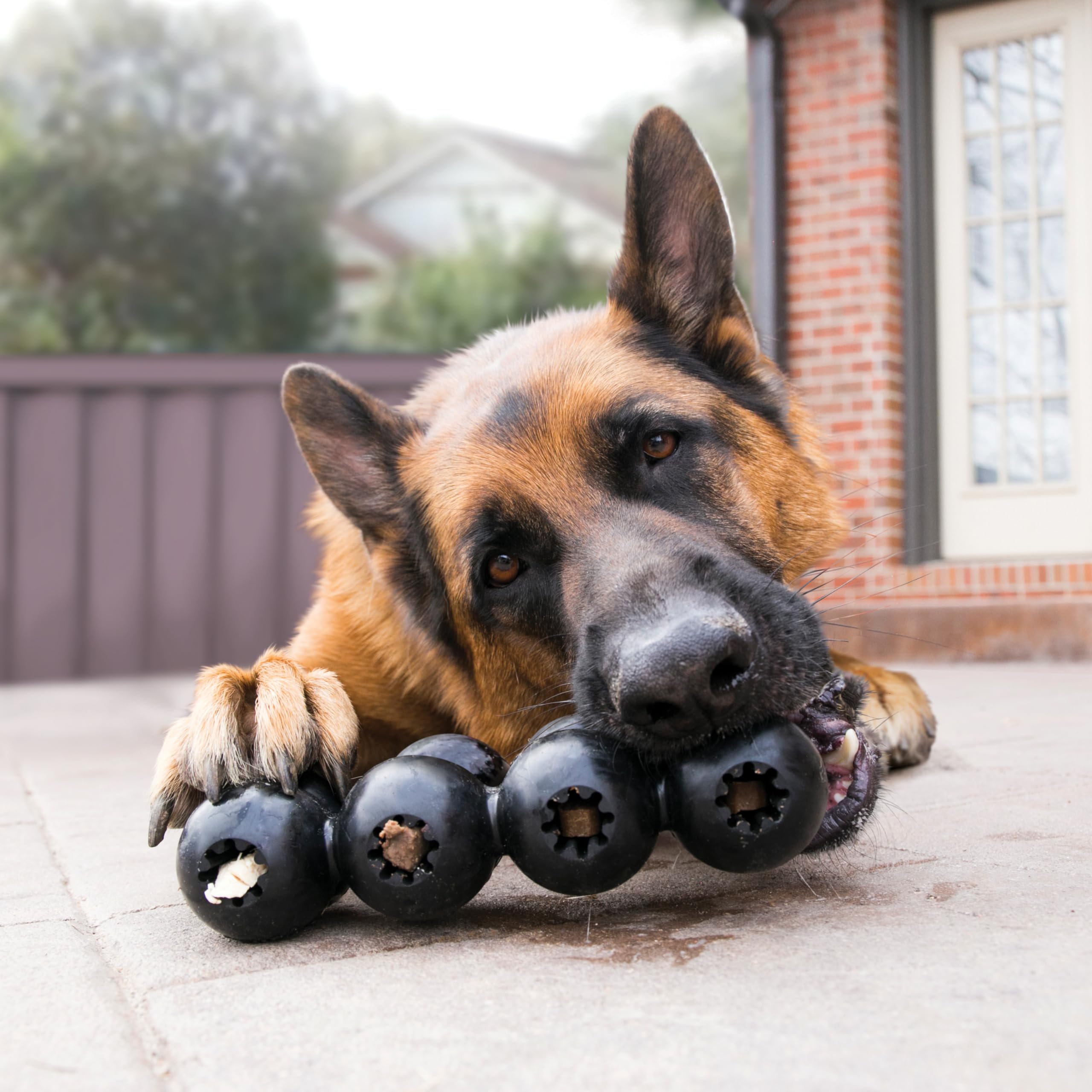 KONG Extreme Goodie Ribbon close-up reveals internal ridges for treat-stuffing play.