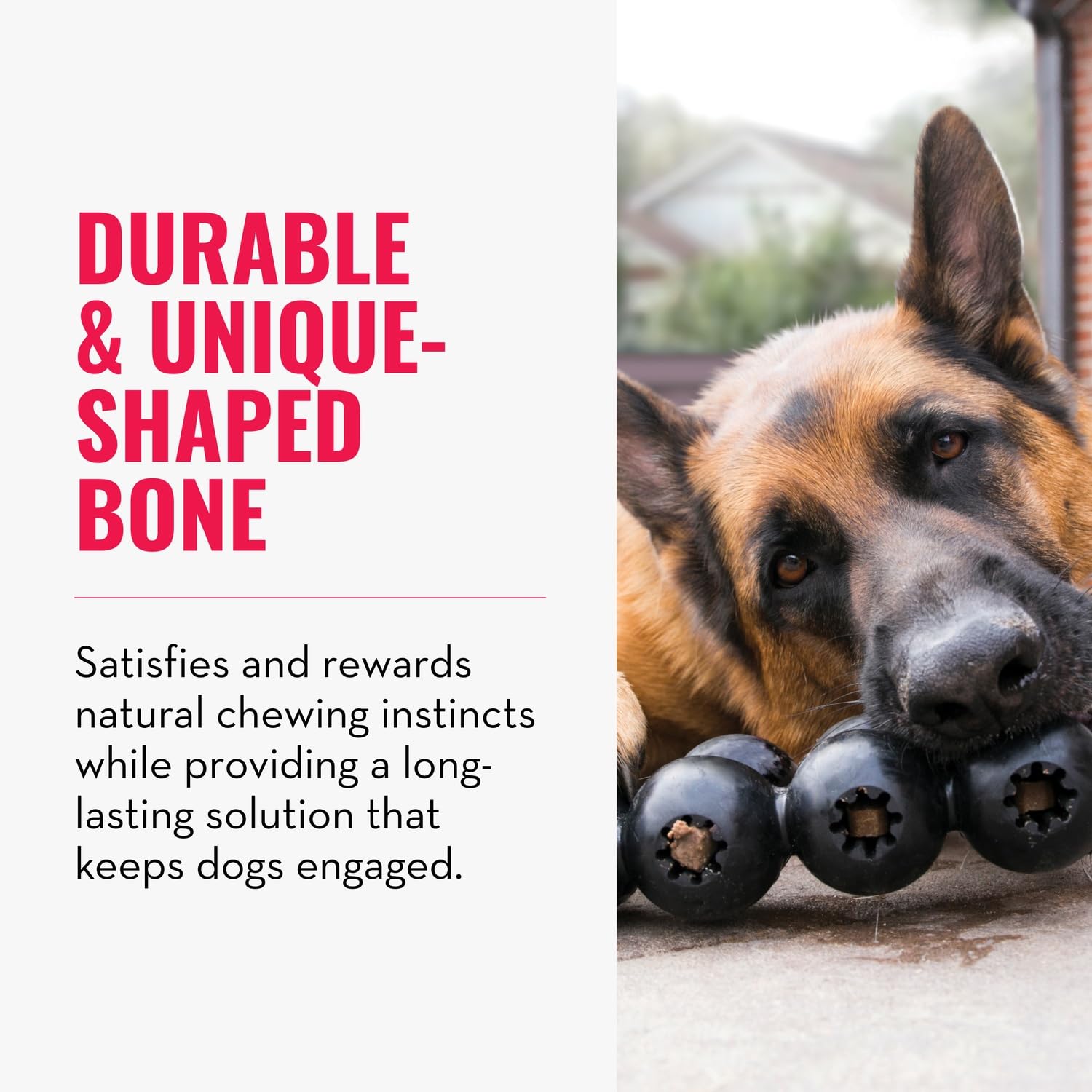 KONG Extreme Goodie Ribbon four holes enable interactive treat extraction.