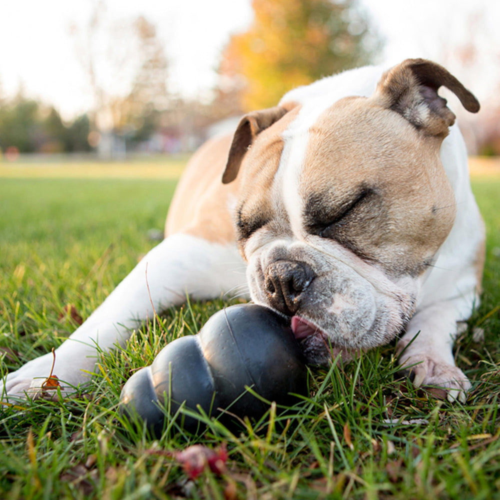 KONG Extreme con bola y rebote irregular para mayor entretenimiento canino.