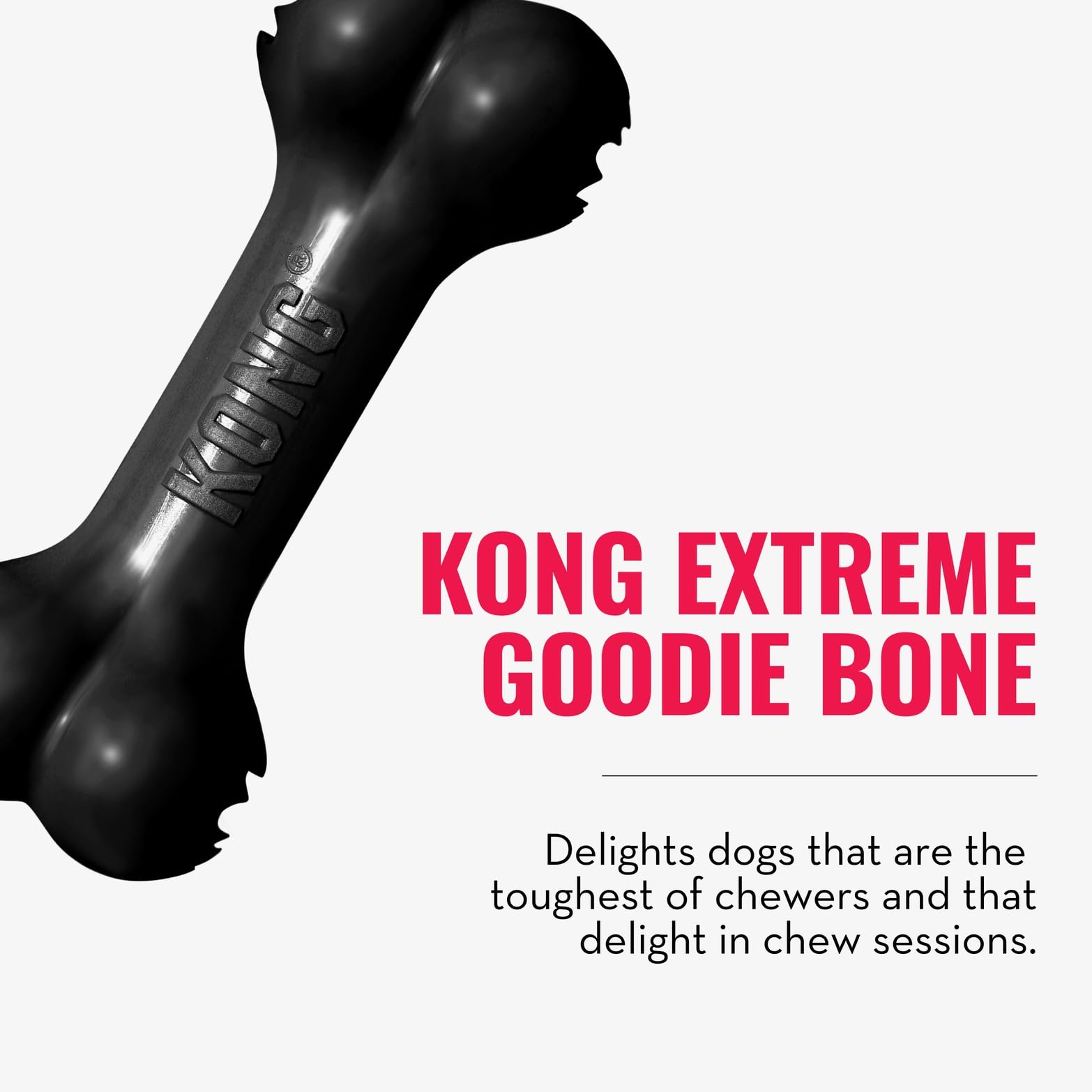 KONG Extreme Flyer in use during soft fetch with forgiving rebound