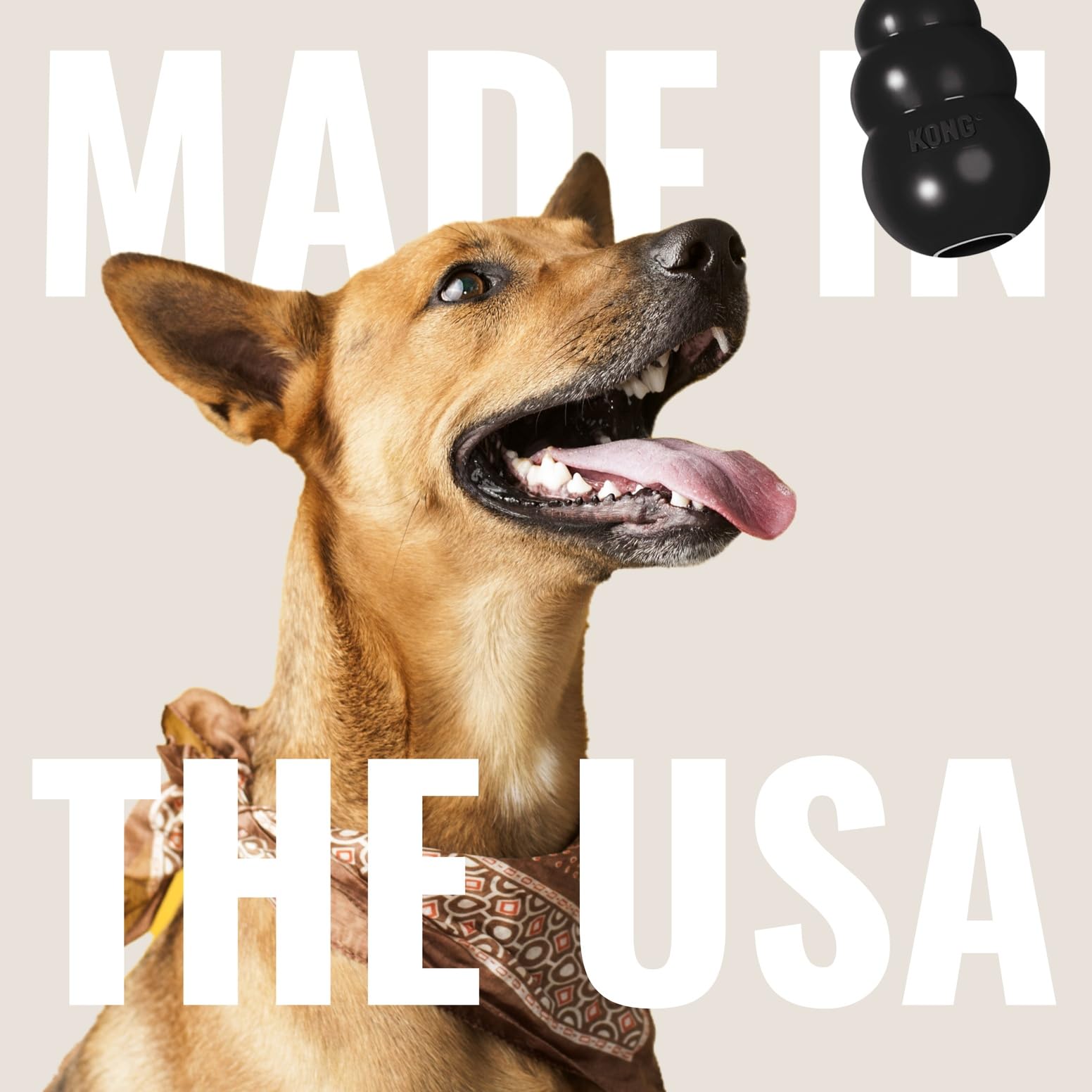 KONG Extreme dishwasher-safe cleanup after play sessions