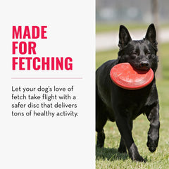 KONG Flyer dynamic rebound in action adds playful unpredictability to fetch.