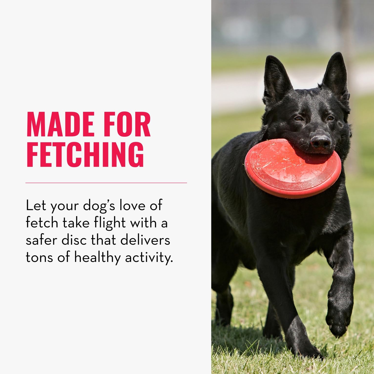KONG Flyer: juego al exterior para perros medianos y grandes.