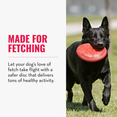 KONG Flyer: juego al exterior para perros medianos y grandes.