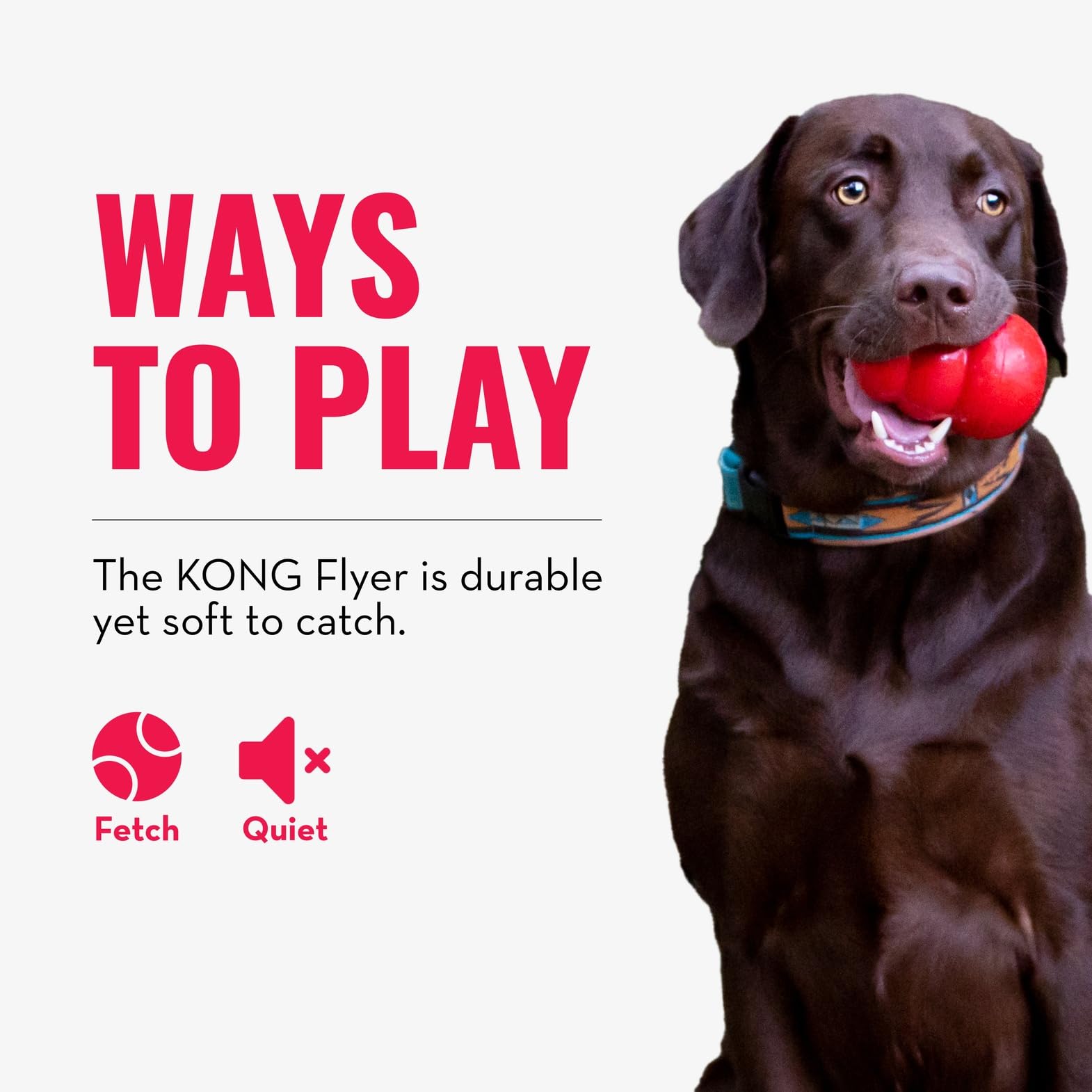 KONG Flyer: uso para perros medianos y grandes, promueve actividad física.