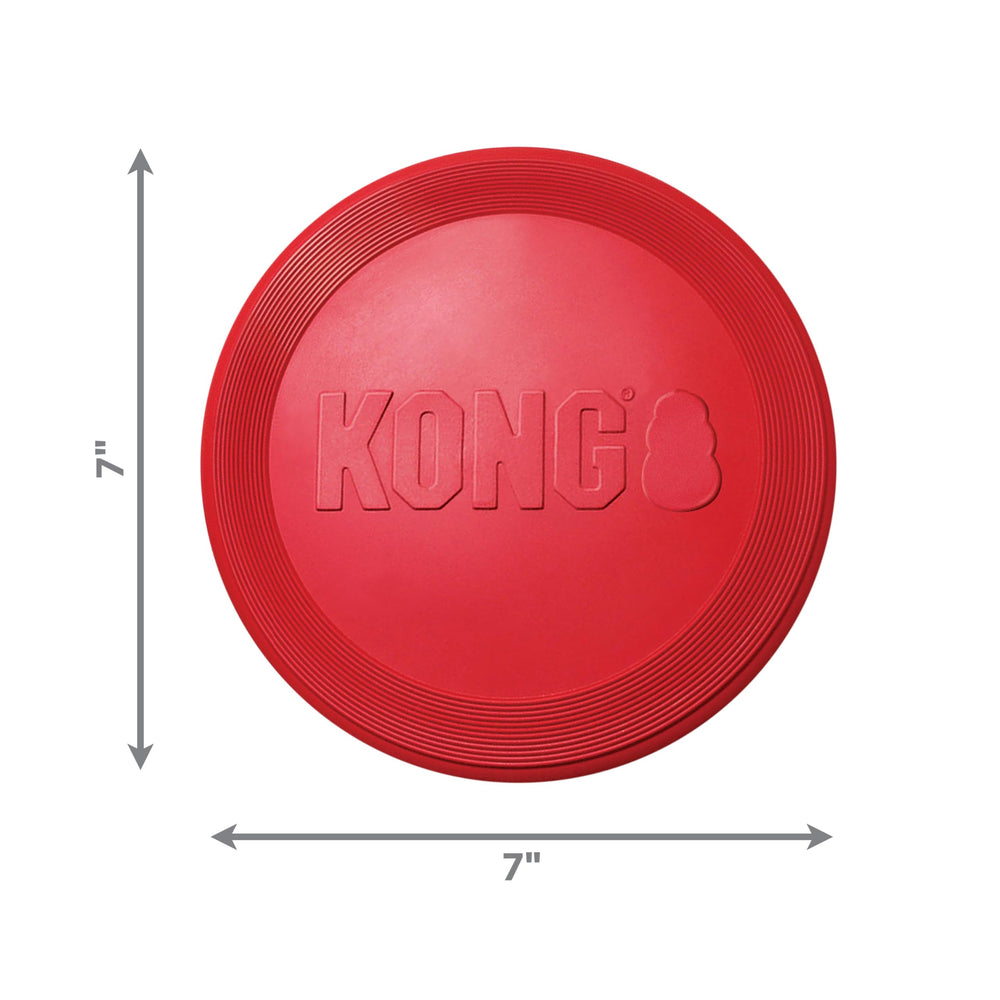 KONG Flyer small-dogs edition ready for compact bites and easy retrieval.