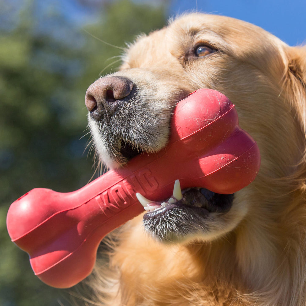 KONG Goodie Bone close-up natural rubber showcases durable texture safe for chewing.