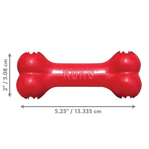 KONG Goodie Bone dog chew session shows resilient natural rubber ideal for small-dog play.