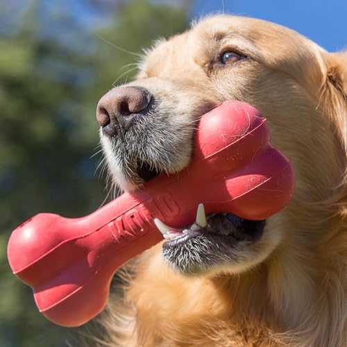 KONG Goodie Bone dual goodie grippers closeup illustrates added mental stimulation during chew time.