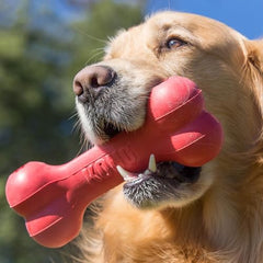 KONG Goodie Bone dual goodie grippers closeup illustrates added mental stimulation during chew time.