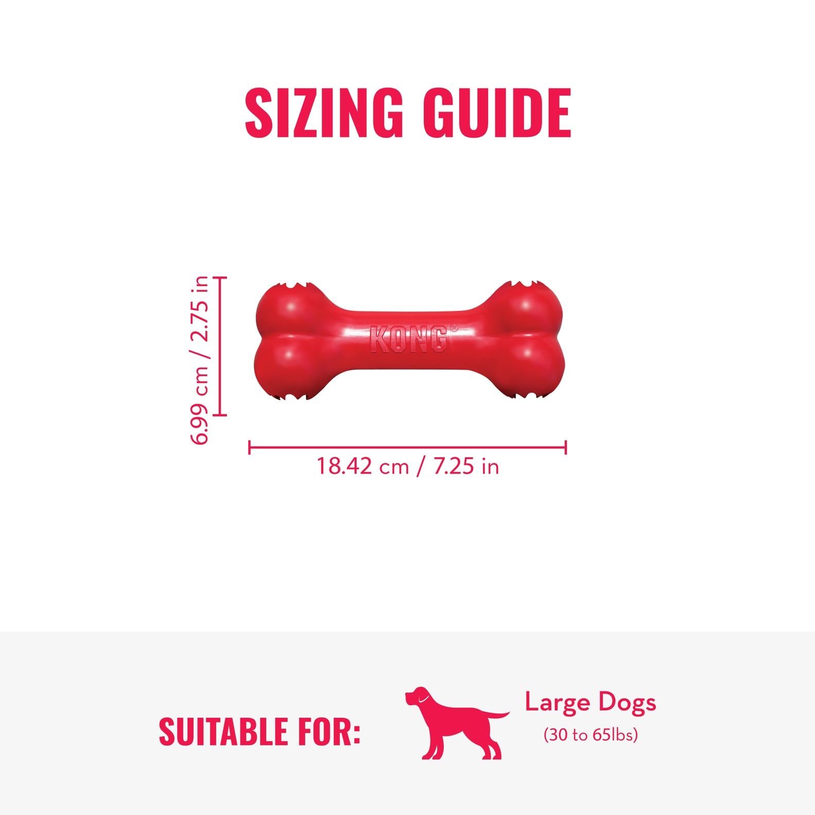 KONG Goodie Bone demonstrates durable red rubber construction during chew.