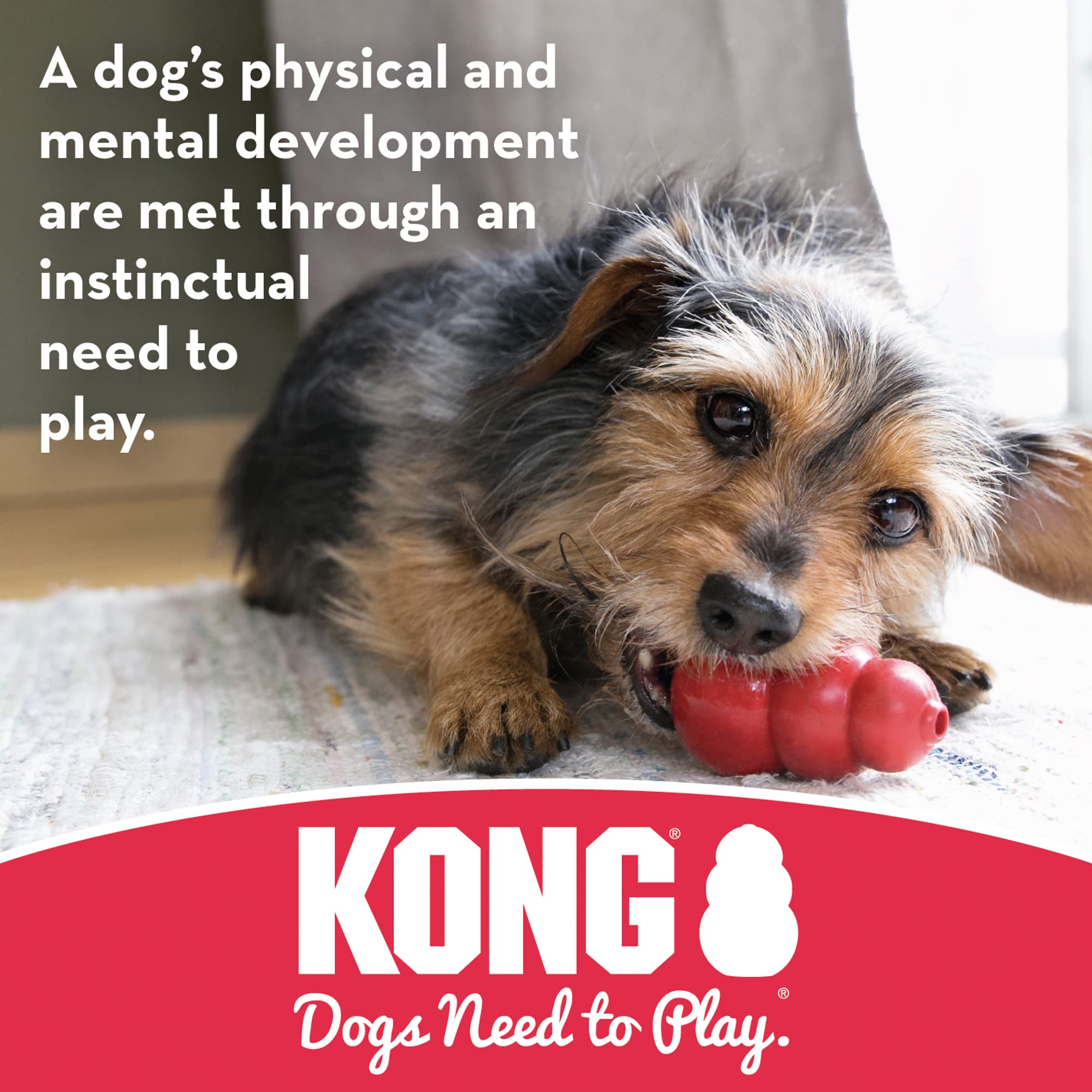 KONG Goodie Bone red rubber in use during indoor play.