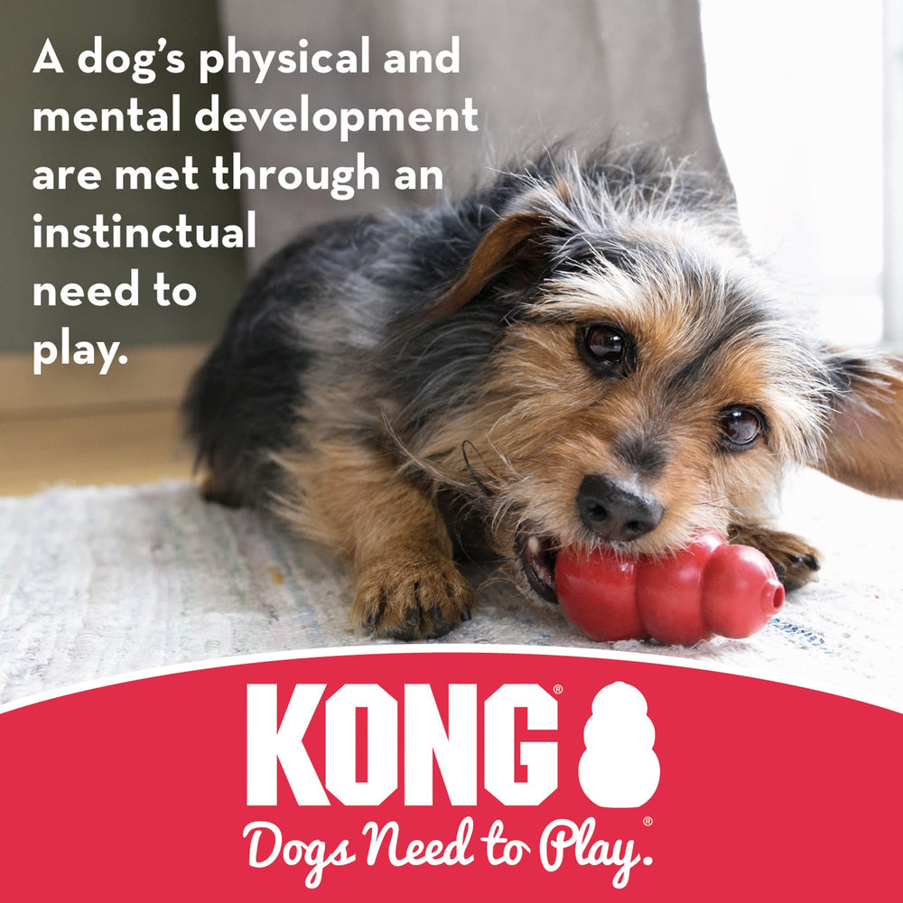 KONG Goodie Bone red rubber in use during indoor play.