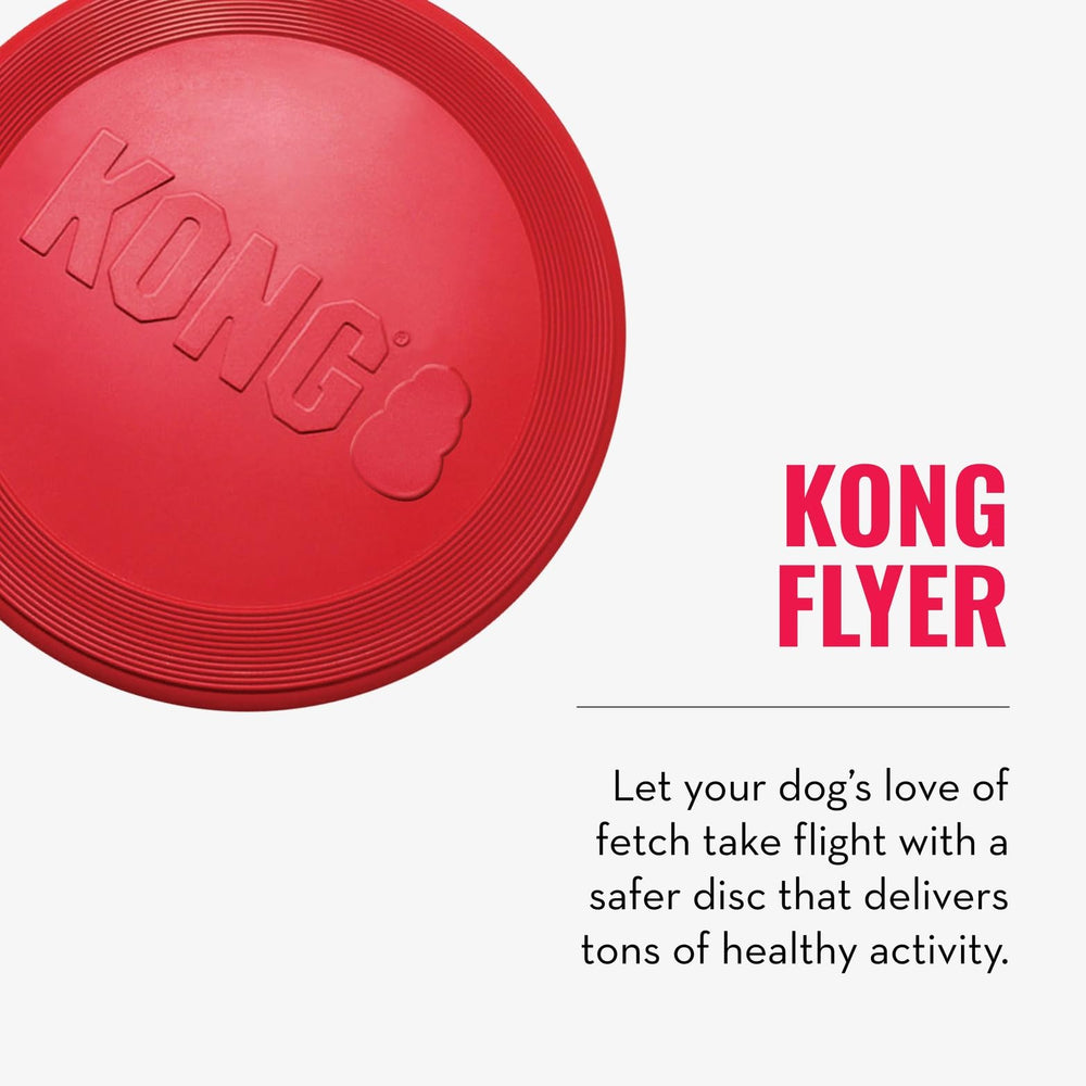 KONG Goodie Bone with patent Goodie Grippers for snack holding.