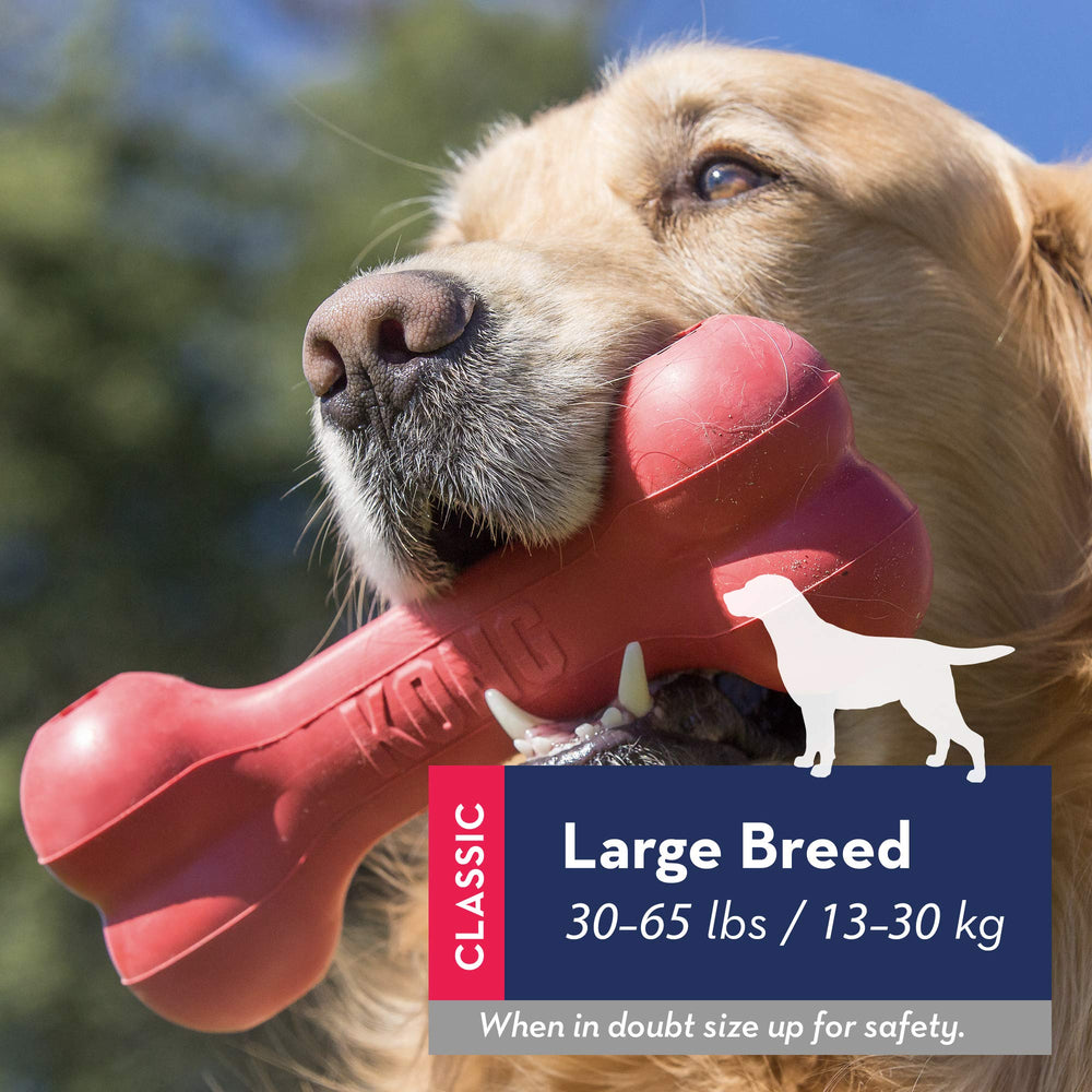 KONG Goodie Bone stuffed with Easy Treat extends playtime.