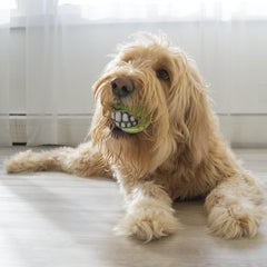 KONG Grinz tennis ball detail highlighting durable texture for bounce