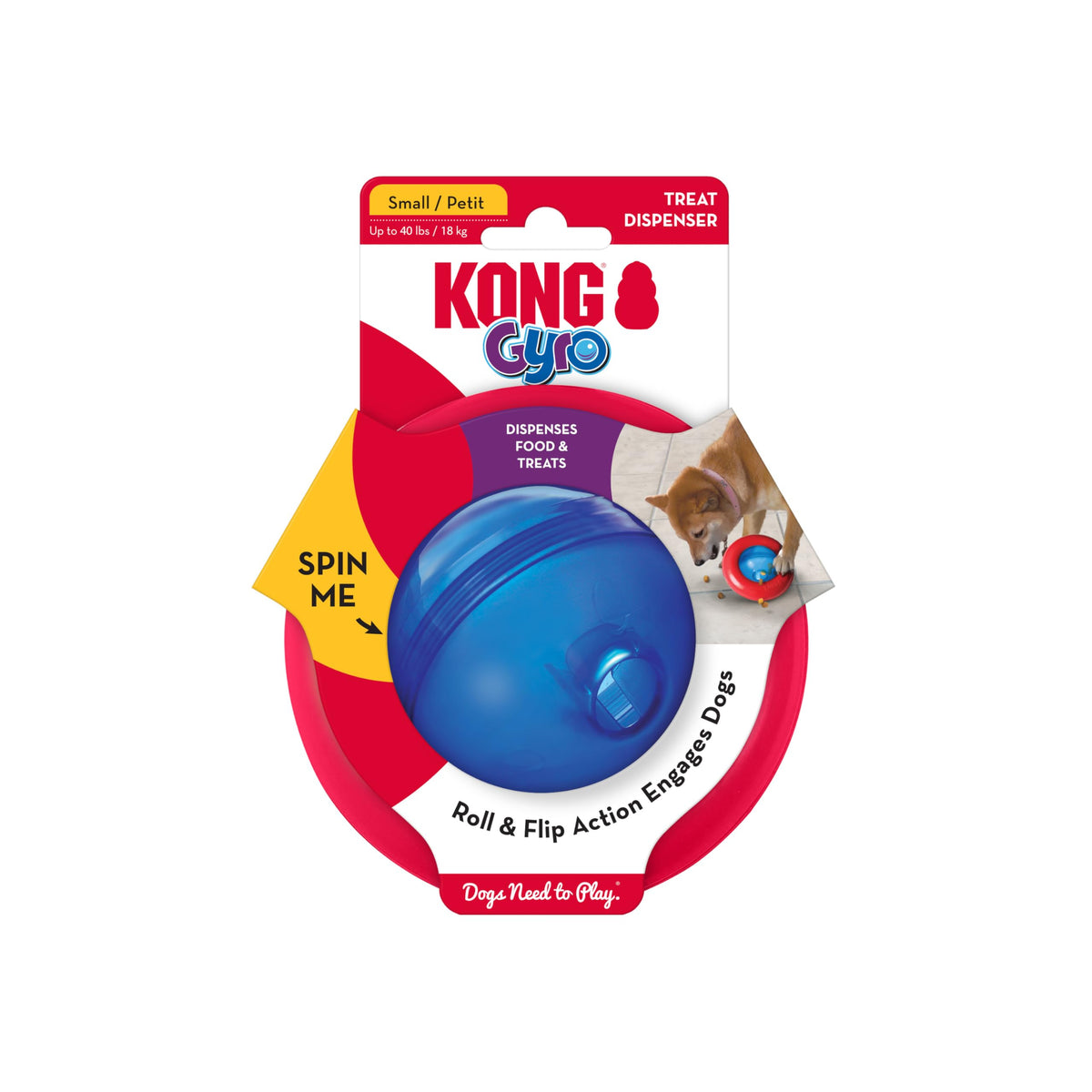 KONG Gyro roll-action scene keeps a small dog engaged during play.