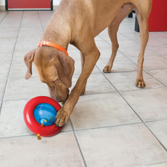 KONG Gyro slow-feeder design extending mealtime and promoting healthy pacing.
