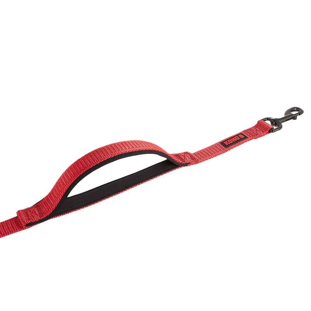 KONG heavy-duty metal clasp ensures secure attachment on daily outings.