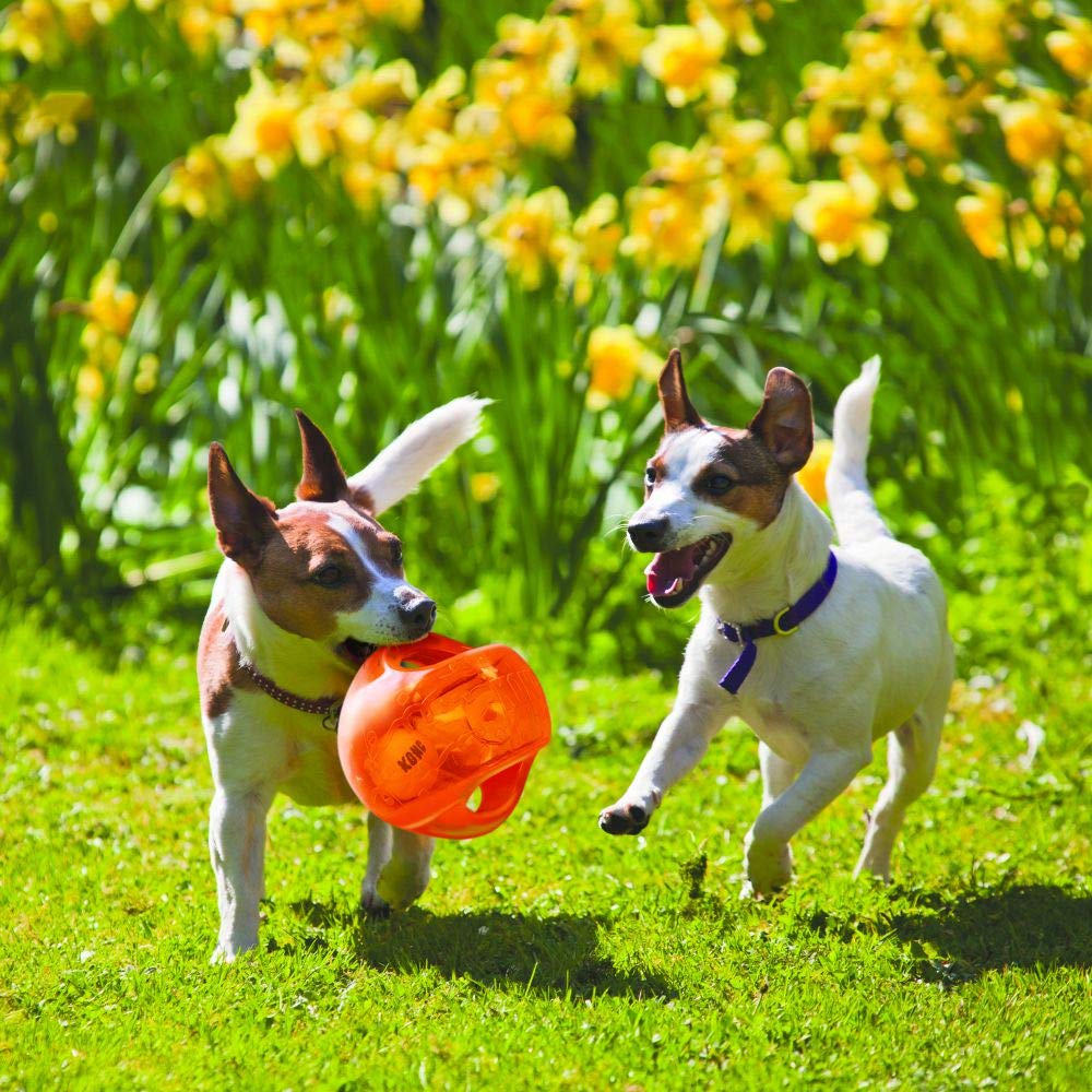KONG Jumbler Ball blue color ideal for outdoor fetch fun.