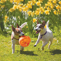KONG Jumbler Ball inner tennis ball hidden inside for exciting bounce.