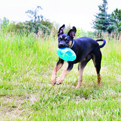 KONG Jumbler interior tennis ball—engages dogs with surprising bounce