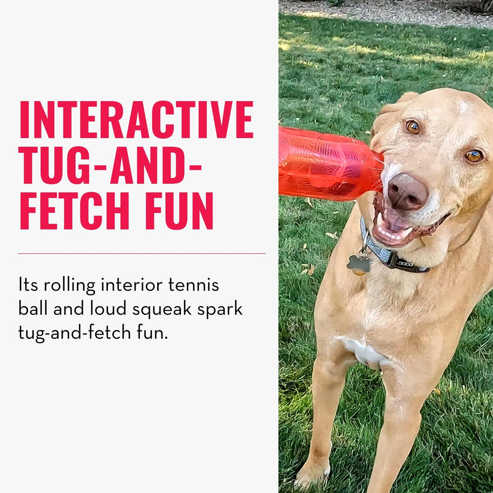 KONG Jumbler Tug action for tug-and-fetch sessions.