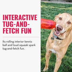 KONG Jumbler Tug action for tug-and-fetch sessions.