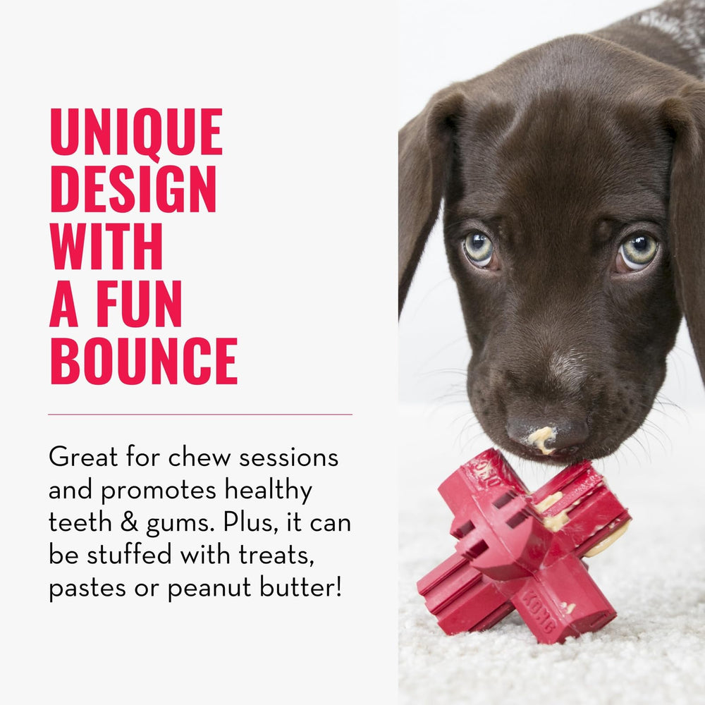 KONG Jump'N Jack with Denta-Ridges provides gentle cleaning and gum conditioning