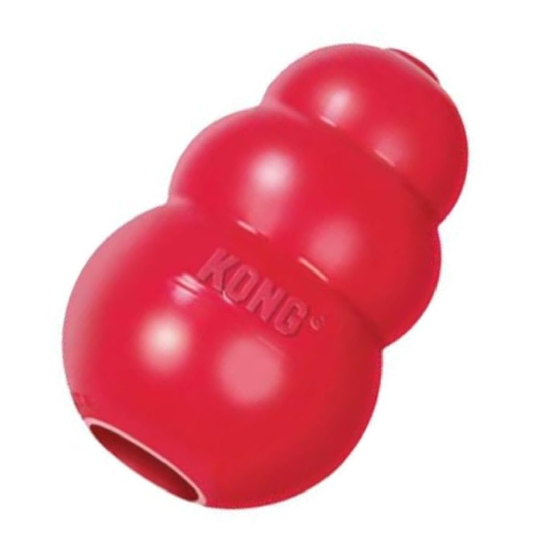 KONG King Classic red toy in action during fetch and bounce.