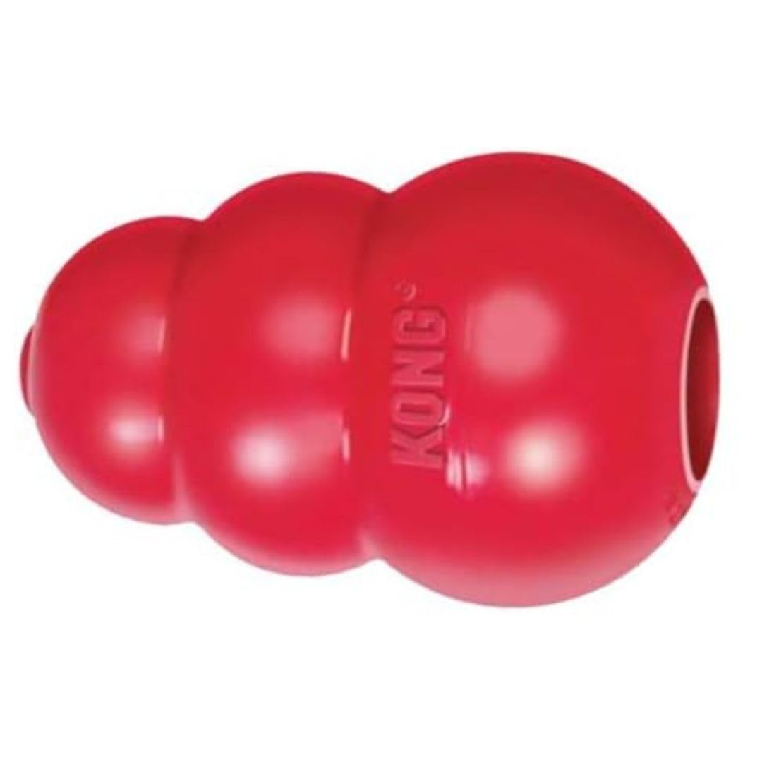 KONG King Classic red toy filled with treats for enrichment.
