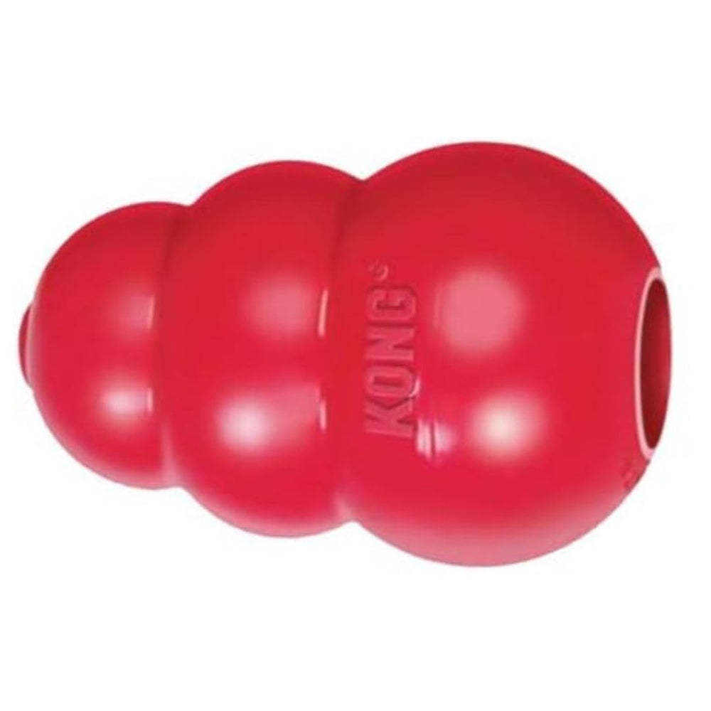 KONG King Classic red toy filled with treats for enrichment.