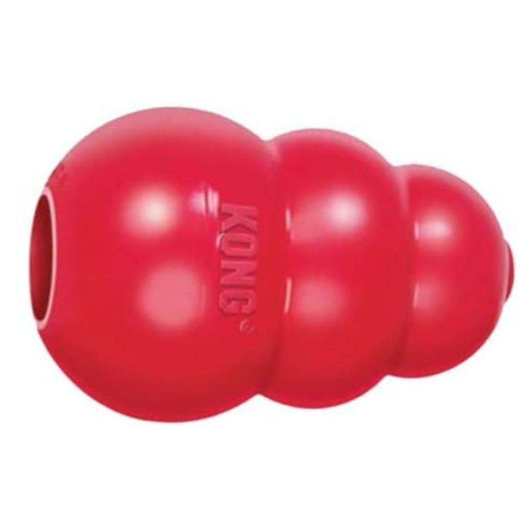 KONG King Classic XX-Large red toy for heavy chewers at home.