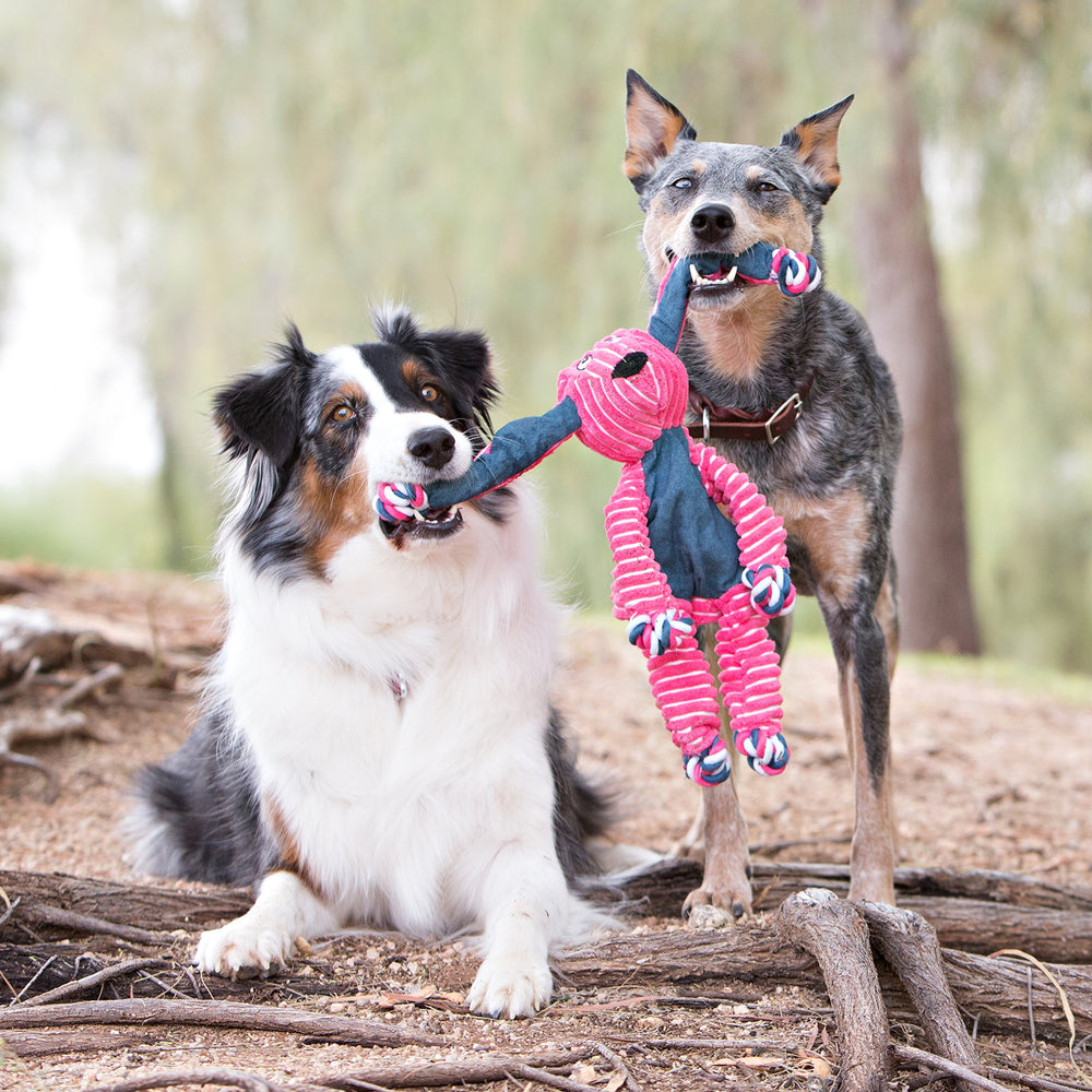 KONG knotted rope toy shows varied texture to engage chewing and exploration