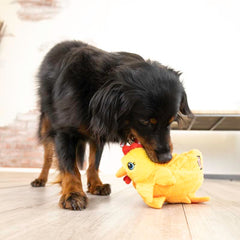 KONG Layerz Forage con bolsillos de peluche promueve enriquecimiento suave.