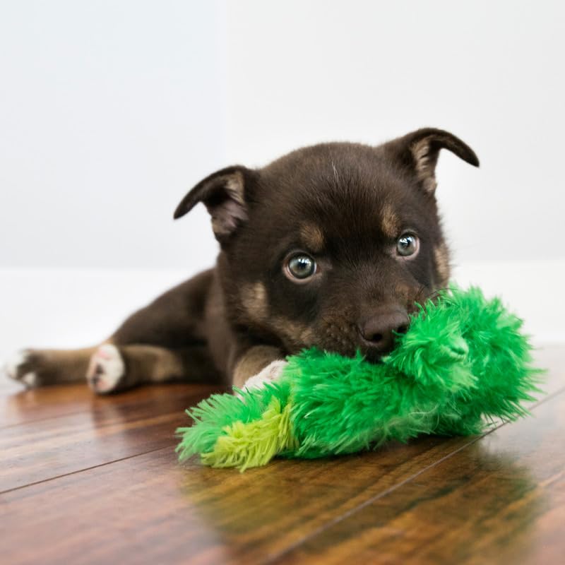 KONG Low Stuffing Squeaker dog toy Duck closeup highlights squeaker quality and playful appeal.