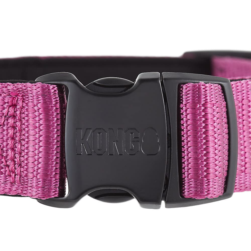 KONG Max HD collar showcasing D-ring and ID tag holder for easy identification.