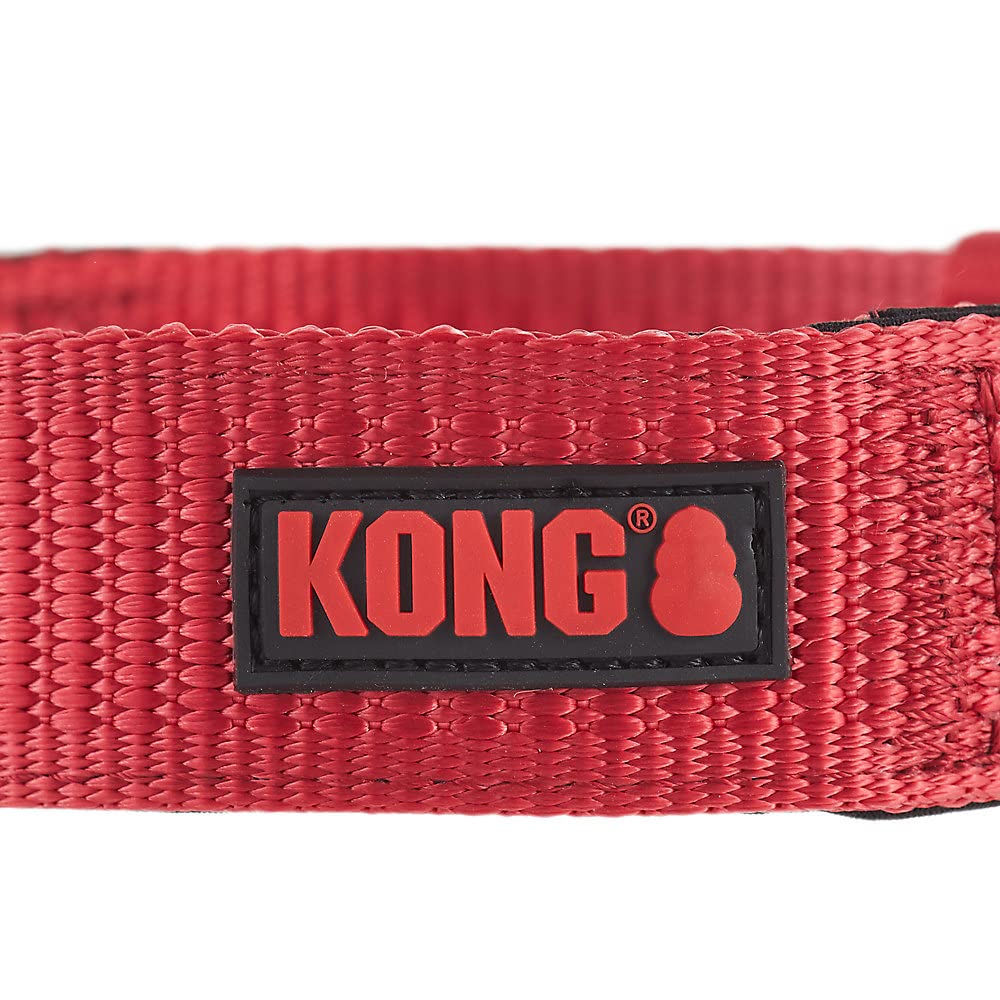 KONG Max HD durable metal hardware demonstrates secure buckle and ID tag stability