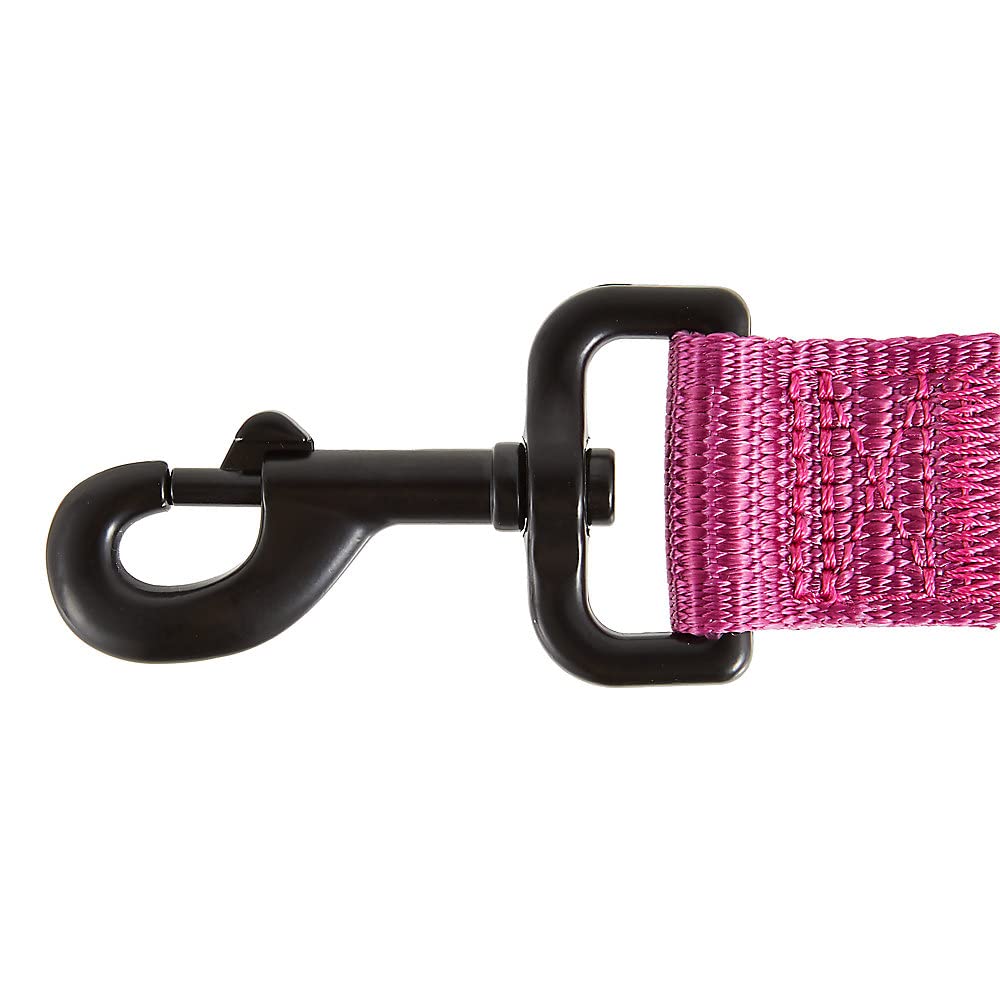 KONG Max HD durable metal hardware resists wear during busy outdoor walks