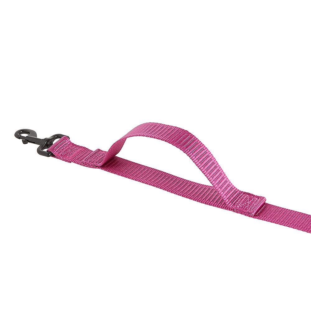 KONG Max HD heavy-duty clasp ensures secure leash connections