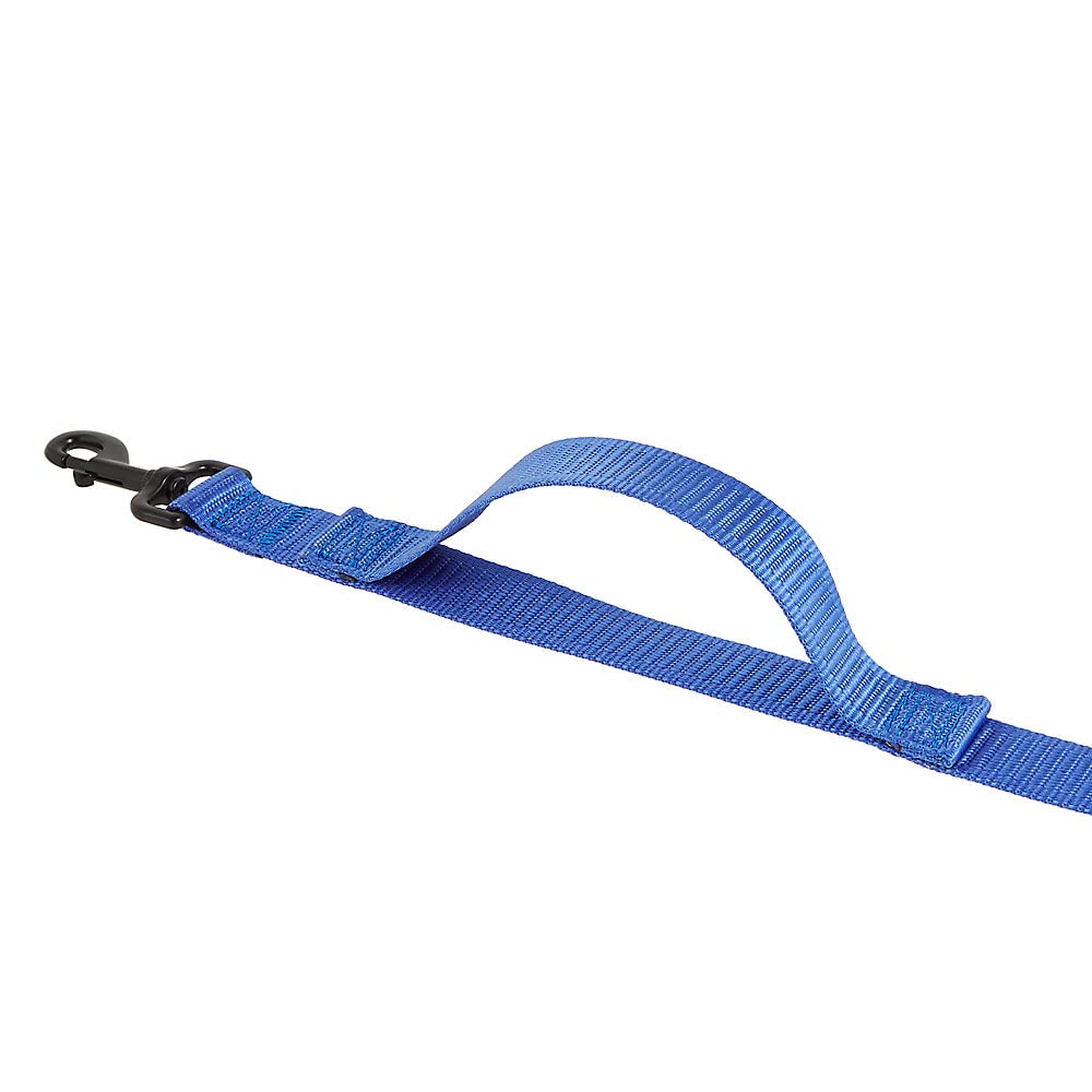 KONG Max HD traffic-handle leash close-up showing heavy-duty clasp