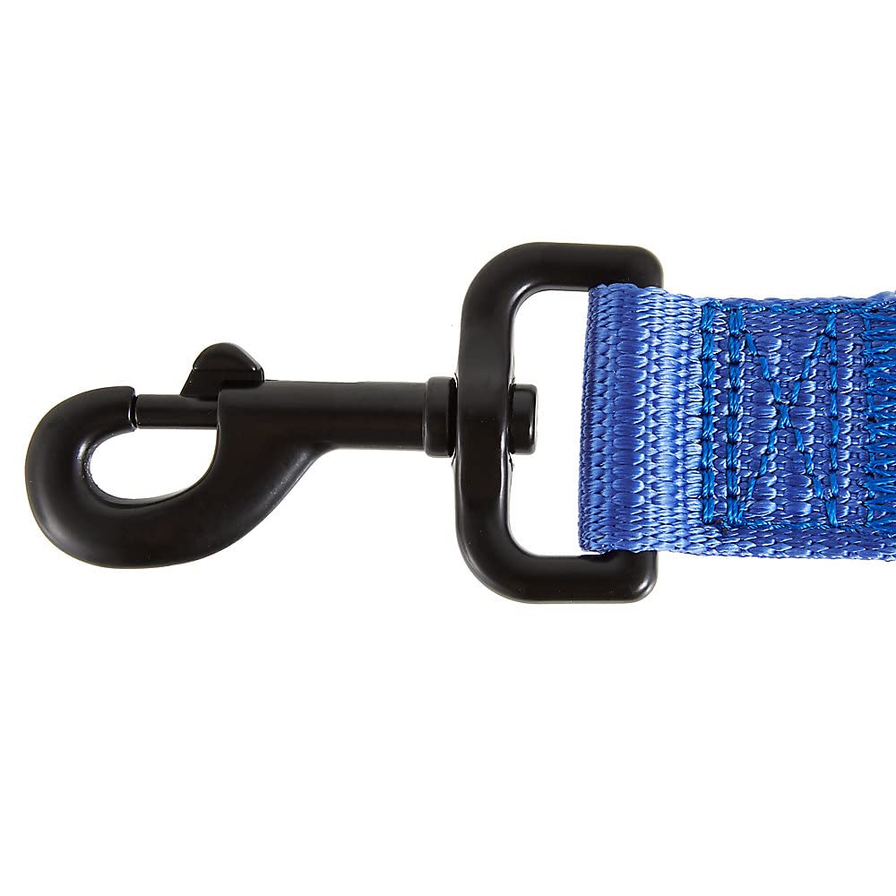 KONG Max HD leash metal hardware detail and rugged thread texture